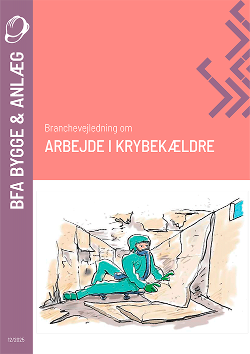 Forhåndsvisning af produktet Arbejde i krybekældre, branchevejledning