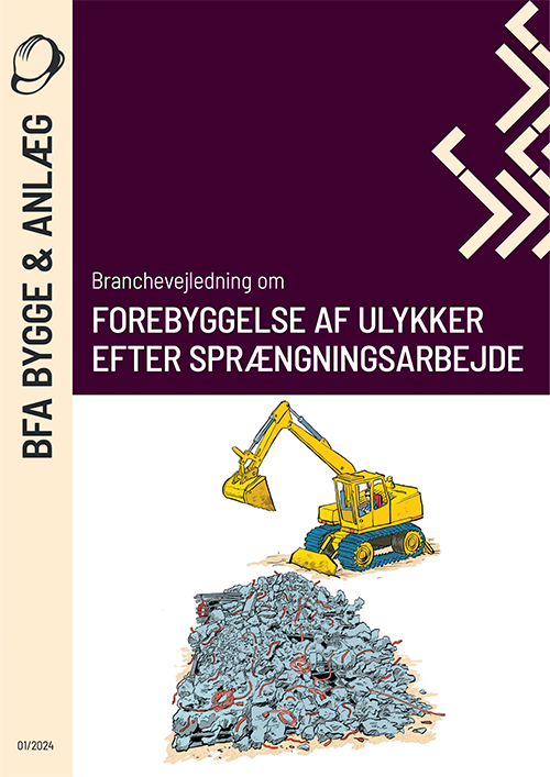 Forhåndsvisning af produktet Forebyggelse af ulykker efter sprængningsarbejde